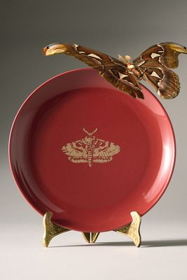 Piatto da Dessert in Gres Catherine Martin Midnight Creatures