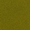 Moss