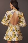 BHLDN Kali Long Sleeve Linen Fit & Flare Dress