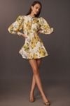 BHLDN Kali Long Sleeve Linen Fit & Flare Dress