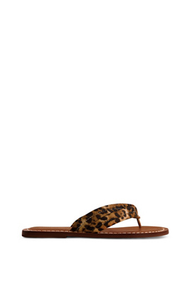 Bernardo Miami Leopard Flat Thong Sandals In Multicolor
