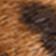 Brown Pattern