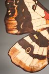 Catherine Martin Midnight Creatures Moth Dish Towel