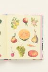 Extraordinary Things Sticker Book