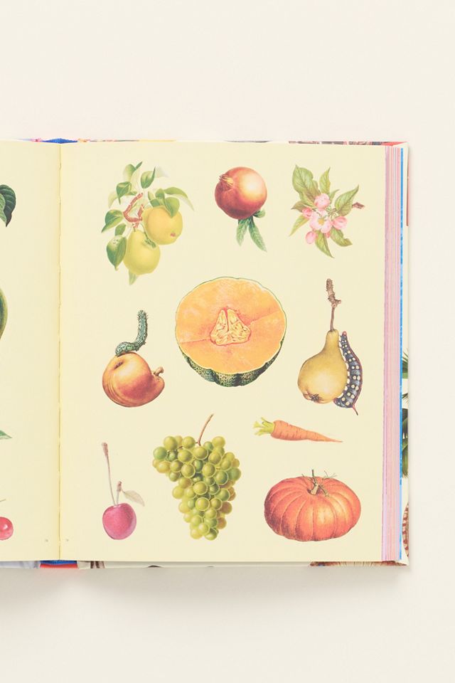 Extraordinary Things Sticker Book #1