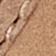 Dune/Ice Flow