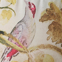 Judarn Print