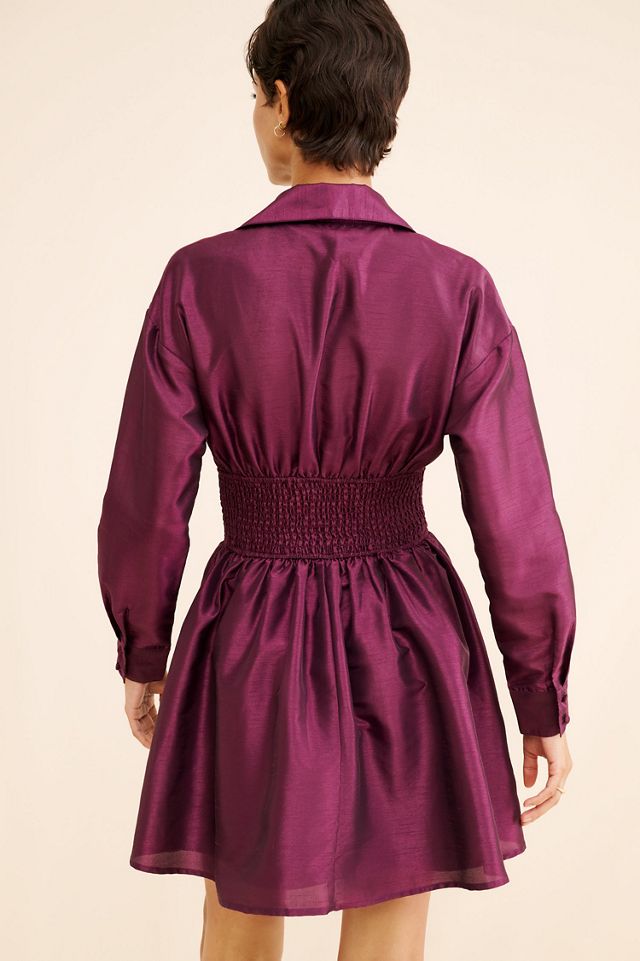 Hutch Iridescent Waisted Shirtdress #1