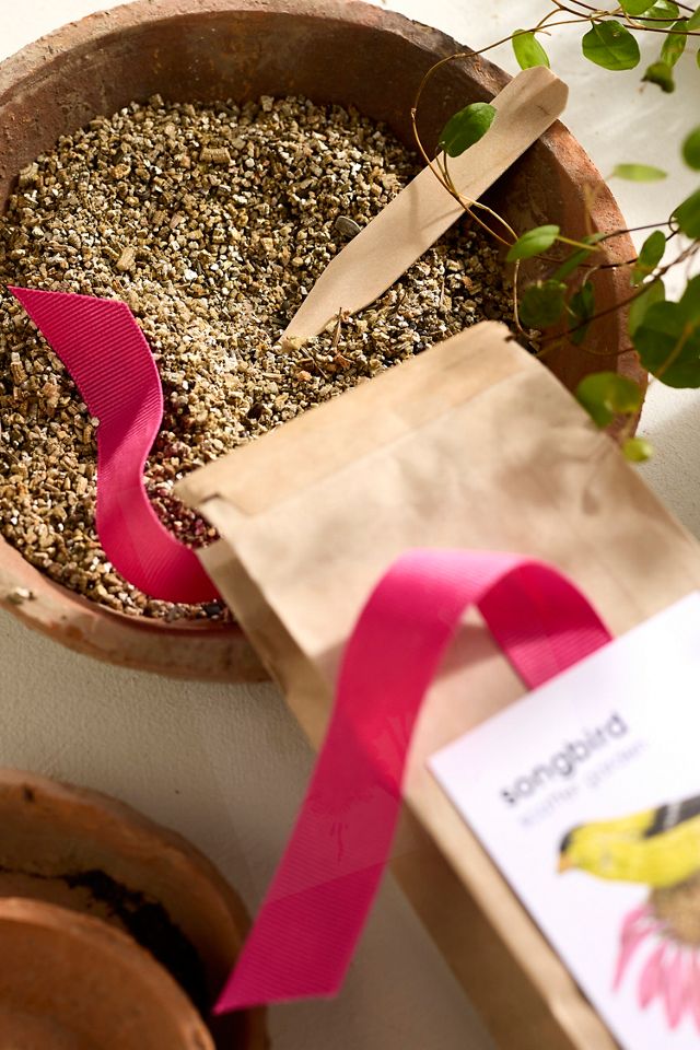 Songbird Garden Seed Scatter #1