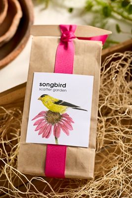 Songbird Garden Seed Scatter