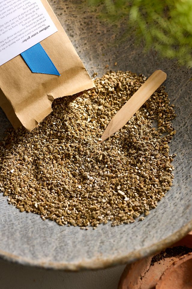Wildflower Garden Seed Scatter #1