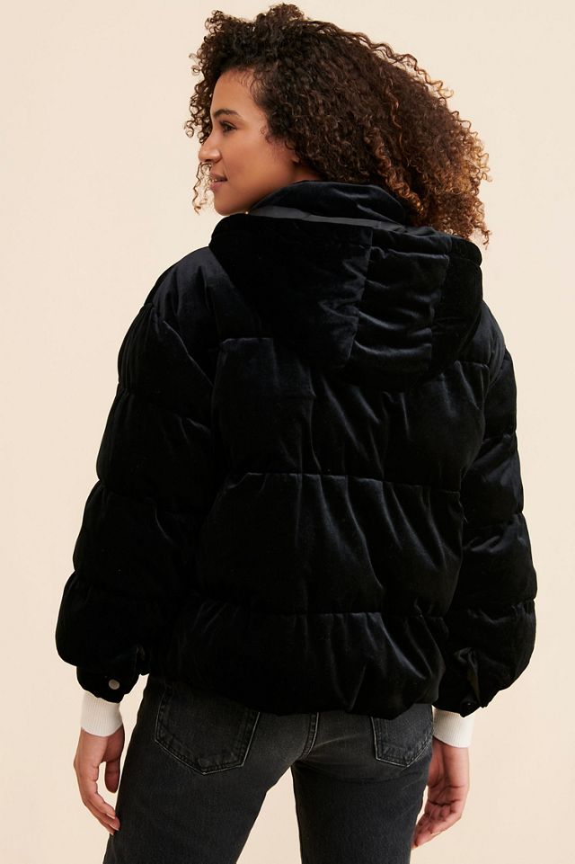 Bagatelle Velvet Puffer Jacket #1