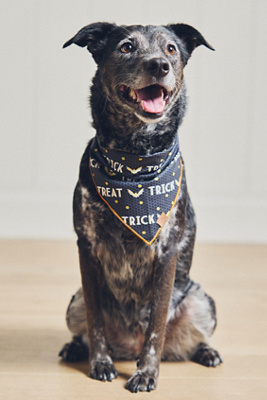 By Anthropologie Halloween Dog Bandana product page