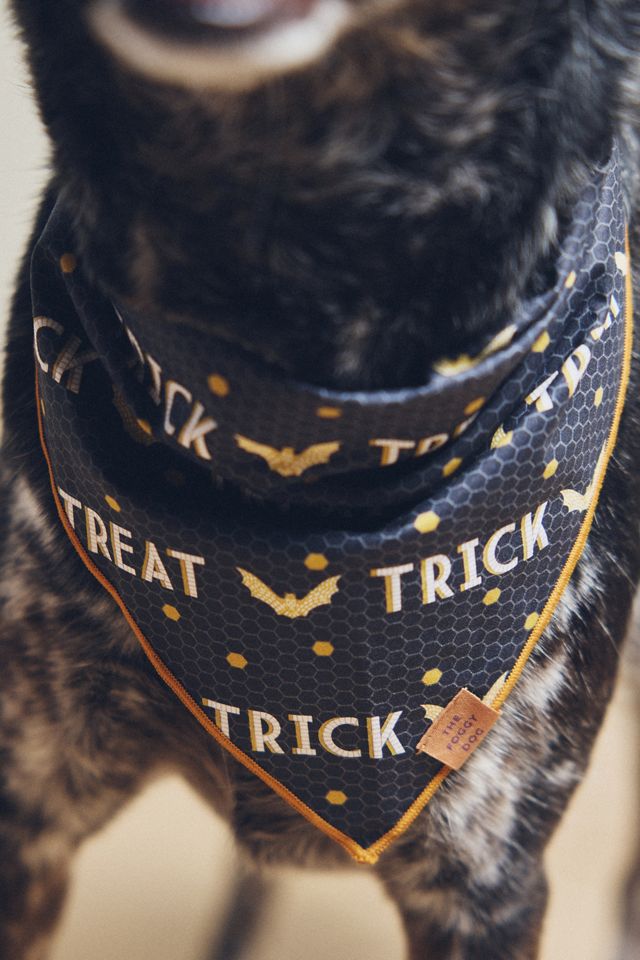 By Anthropologie Halloween Dog Bandana #1