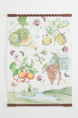 Florence Balducci Fruit Paper Tapestry | AnthroHome