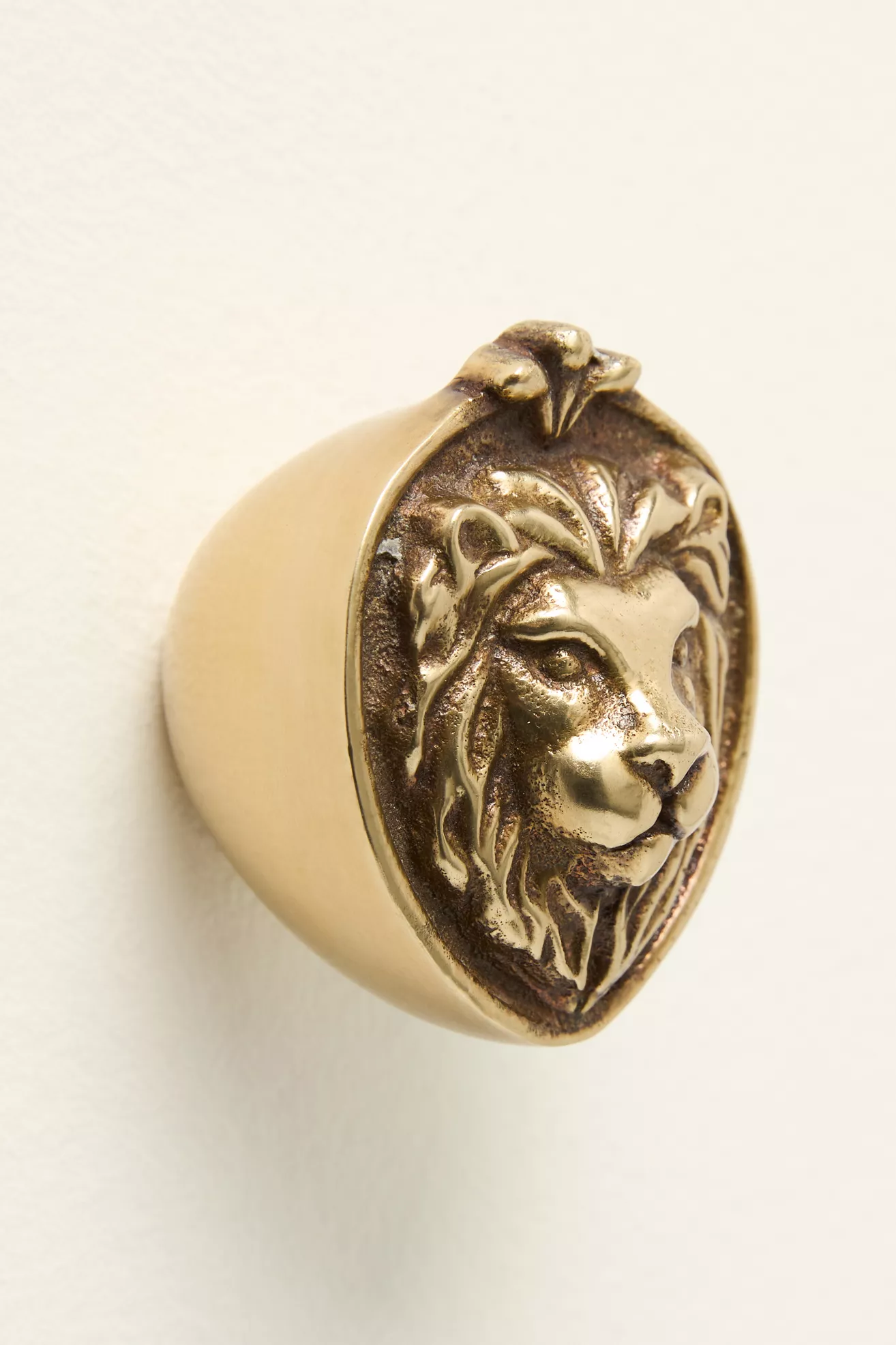 Aslan Solid Brass Lion Icon Knob - thumbnail 2