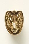 Aslan Solid Brass Animal Icon Knob