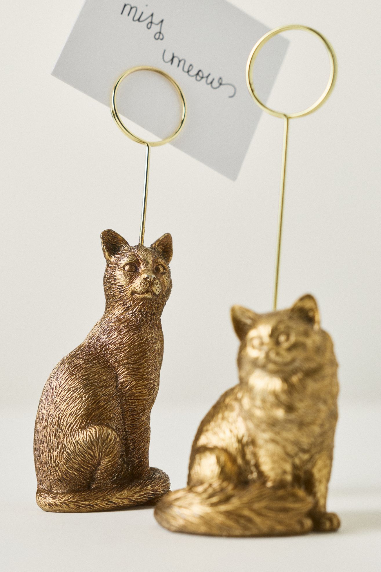The Animal Icon Photo Holder: Cat Edition - Domestic Shorthair/Tabby, Standard, One Size