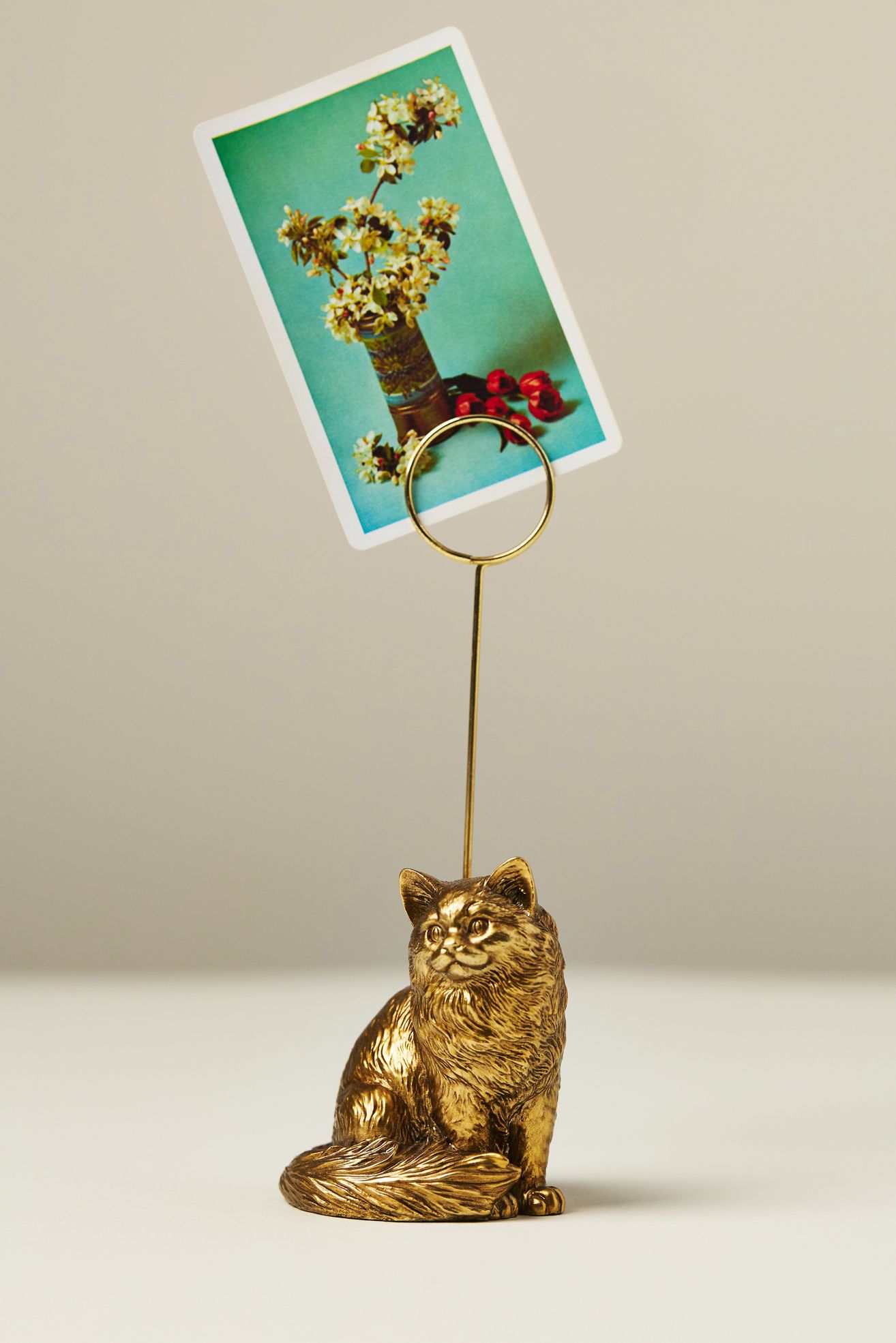 The Animal Icon Photo Holder: Cat Edition - Rag Doll, One Size