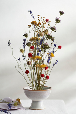 Anthropologie Primary Hues Dried Bouquet