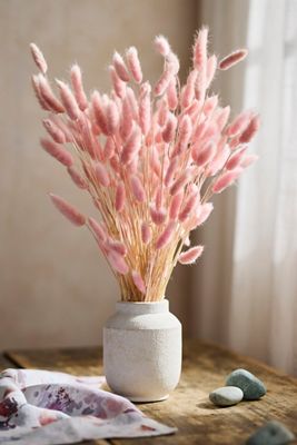 Preserved Pink Bunny Tails Bunch