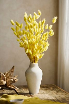 Preserved Yellow Bunny Tails Bunch
