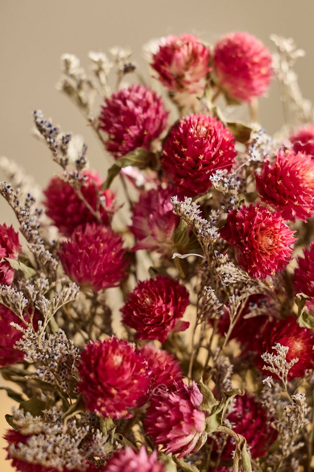 Dried Gomphrena Posy #1