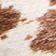 BROWN MOTIF