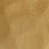 Brushed Brass