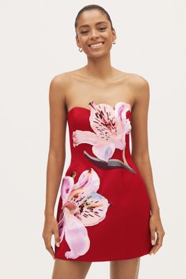 LEO LIN Rosario Floral Appliqué Mini Dress