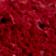 Retrored/Chalk