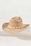 Wyeth Straw Rancher