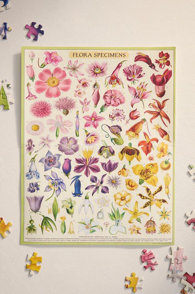 Floral Specimen Puzzle #1