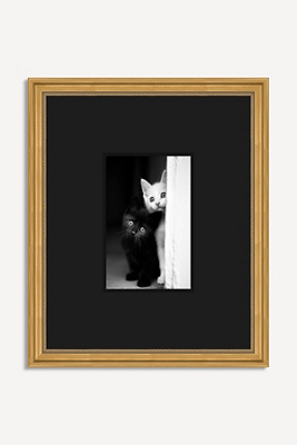 Anthropologie Feline Feature Peep Wall Art