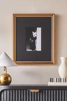 Feline Feature Peep Wall Art