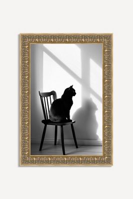 Feline Feature Sit Wall Art