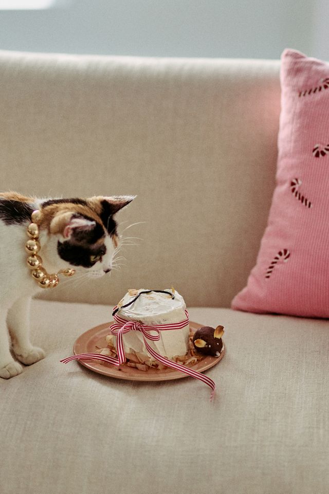 Reeves Portuguese Stoneware Side Plates, Set of 4 #4