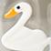 Swan