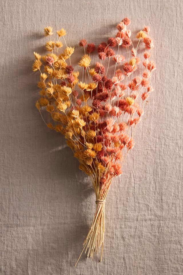 Dried Weeping Bamboo Bunch #2