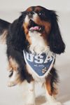 The Deluxe Pup Fourth of July Pet Bandana