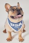 The Deluxe Pup Fourth of July Pet Bandana
