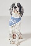 The Deluxe Pup Fourth of July Pet Bandana