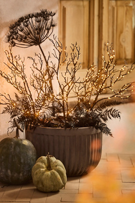 Terrain Spooky Illuminated Branch Stakes, Set Of 3