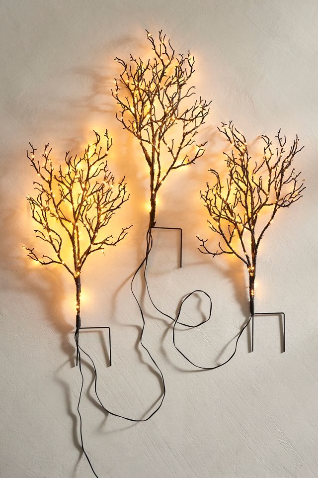 Spooky Illuminated Branch Stakes, Set of 3 #4