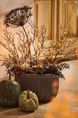 Spooky Illuminated Branch Stakes, Set of 3