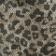 Neutral Leopard