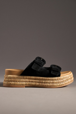 Dolce Vita Witny Buckled Platform Slide Sandals In Black