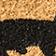 Black Cats Printed Coir Doormat