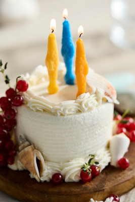 Wishy Fishies Birthday Candles | Terrain