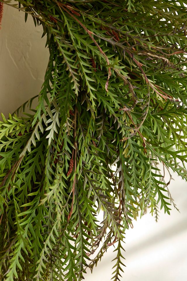 Fresh Grevillea Wreath #1